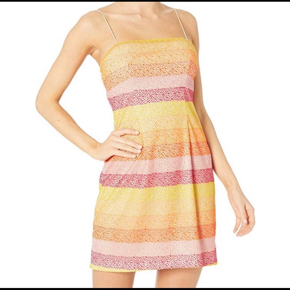 SMYM Clarissa stripe mini dress